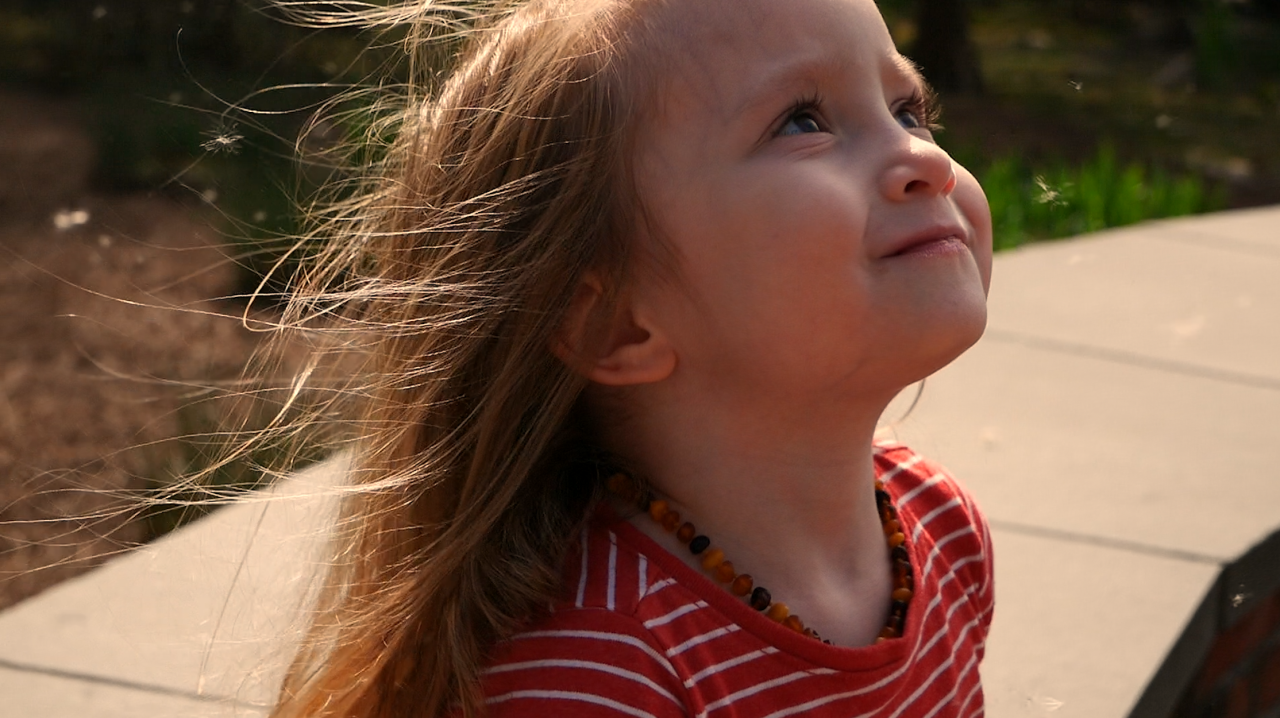 The Quiet Loud Shortverse