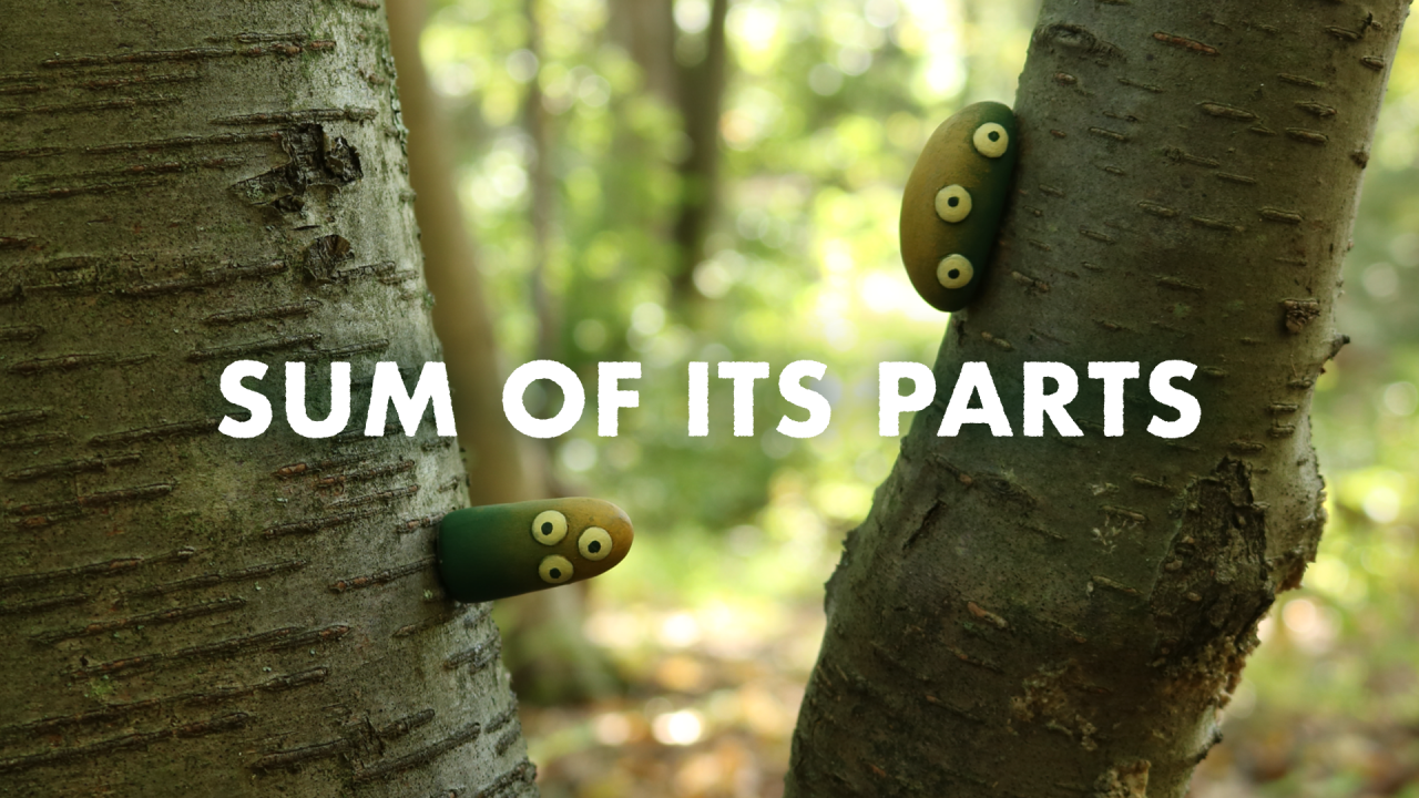 Sum of its Parts | Shortverse