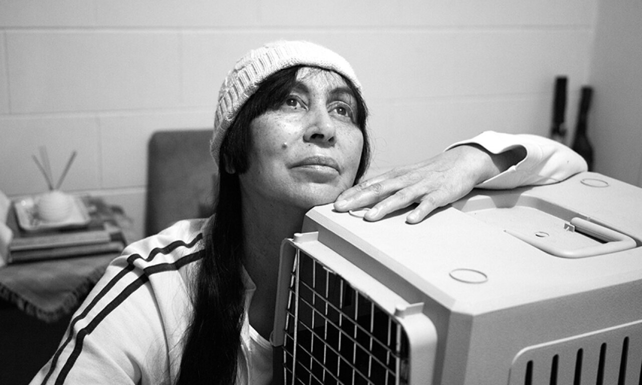 Night Ride Shortverse night-ride-shortverse