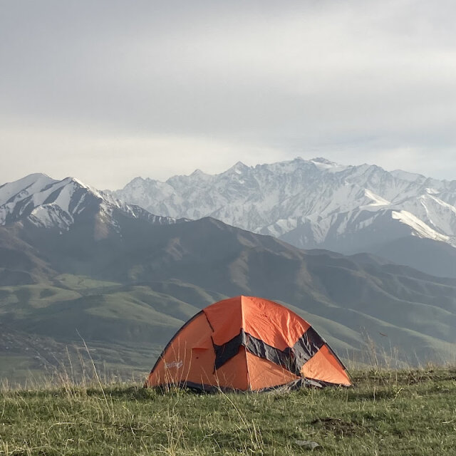 Уулжан Алиева