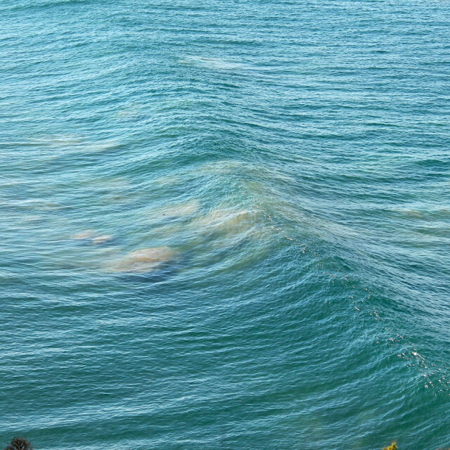 Sreehari Ranjith Tampi