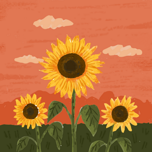 Valery Calleja Vargas