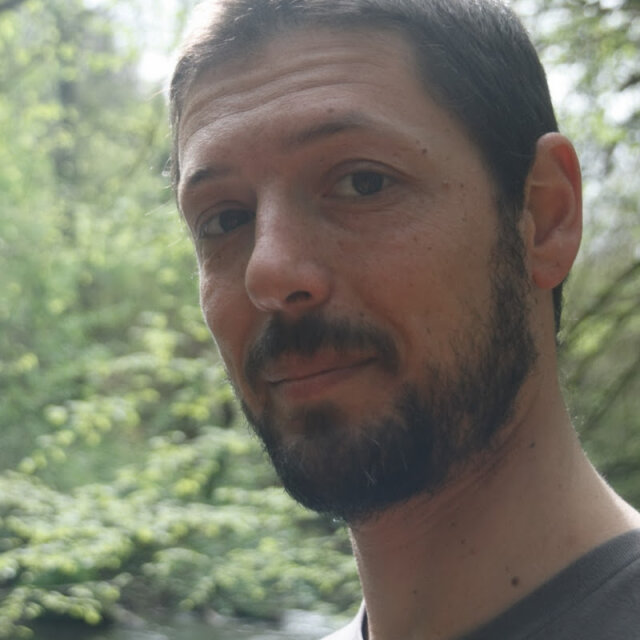 Daniele Carlevaro