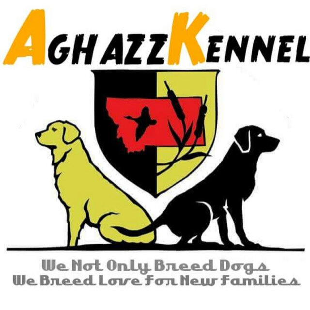 Aghazz kennel Pakistan