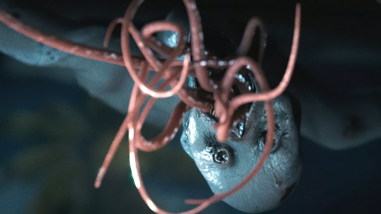 the-drawing-shortverse